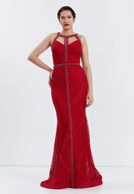 Sleeveless Maxi Lace Mermaid Regular Evening Dress